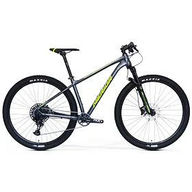 MERIDA BIG.NINE NX EDITION Dark Silver(Green/Silver) L(18.5)