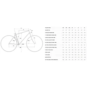 MERIDA SCULTURA ENDURANCE 300 Silk Fog Green(Green-Silver) L