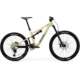 ONE-SIXTY 500 Silk Champagne(Evergreen/Blk) XLONG