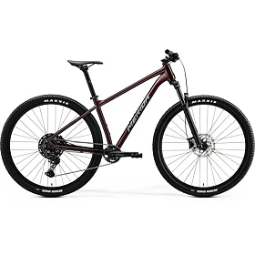 MERIDA BIG.NINE 200  Glitter Cherry(Grey) S
