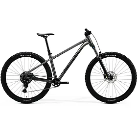 MERIDA BIG.TRAIL 300 Gunmetal Grey(Black) L