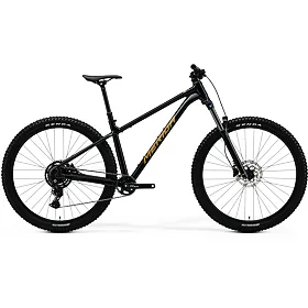 MERIDA BIG.TRAIL 300 Black(Brown) L
