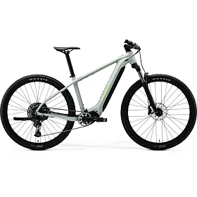 MERIDA eBIG.NINE 675 Matt Early Moss Grey(Green) S