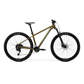 MERIDA BIG.NINE 60 Silk Pineapple Gold(Green)