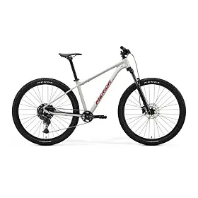 MERIDA BIG.NINE 200 Matt Grey(Glitter Cherry)