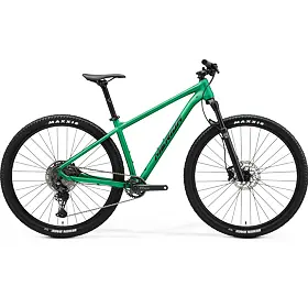 MERIDA BIG.NINE 400  Silk Dandelion Green(Black)