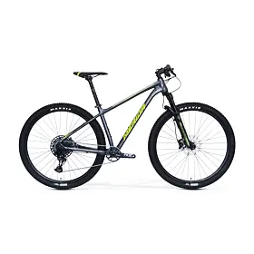 MERIDA BIG.NINE NX EDITION Dark Silver(Green/Silver)