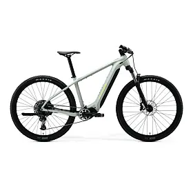 MERIDA eBIG.NINE 675 Matt Early Moss Grey(Green)