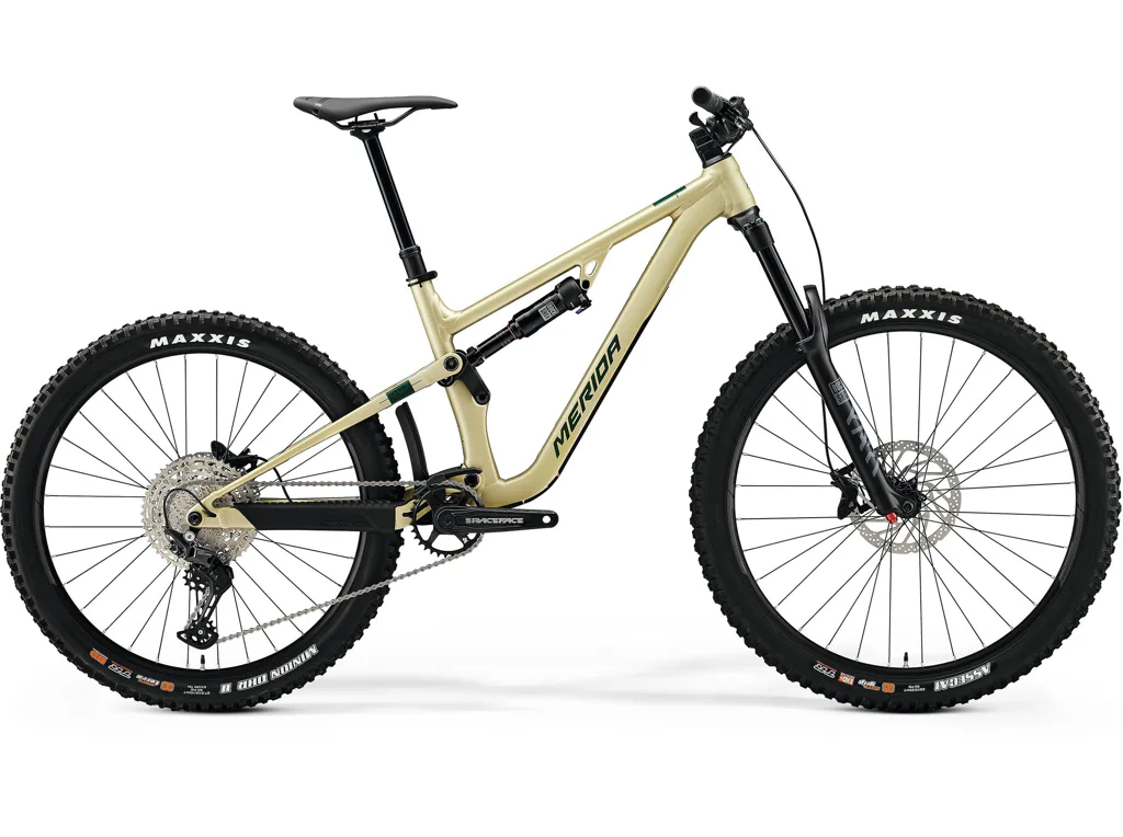 ONE-SIXTY 500 Silk Champagne(Evergreen/Blk) XLONG