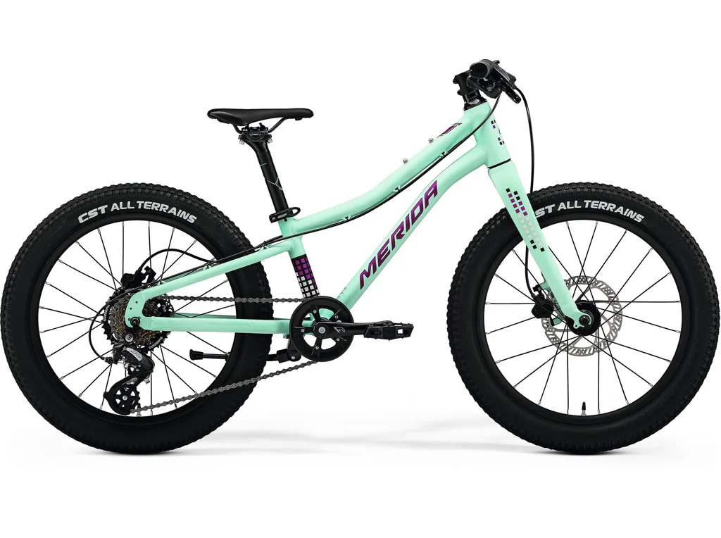 MERIDA Matts J.20+  Matt Mint(Purple/Wht/Blk) UNI