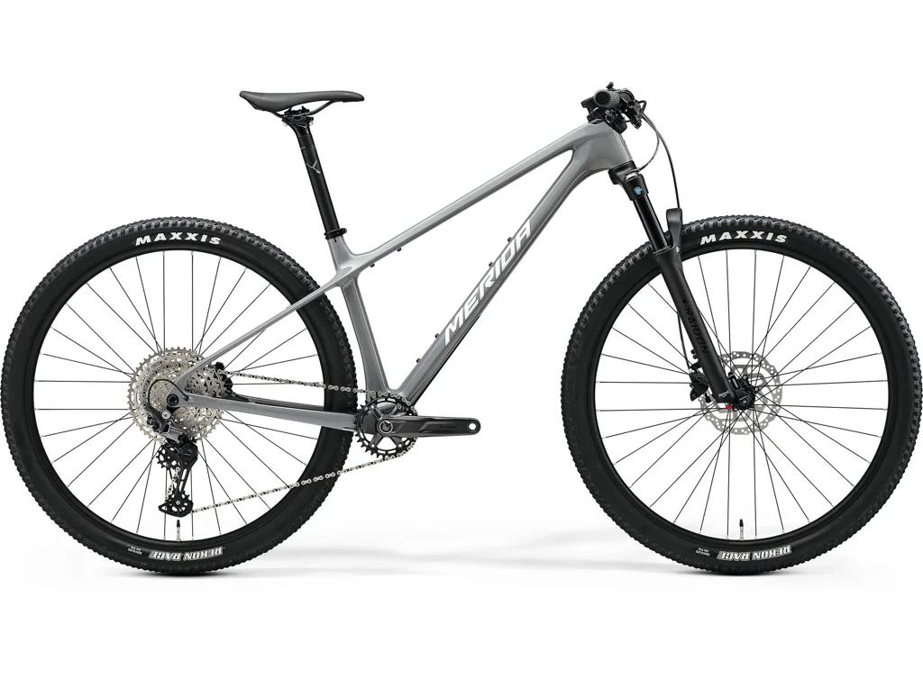 MERIDA BIG.NINE 3000 Cool Grey(Silver/Black) L