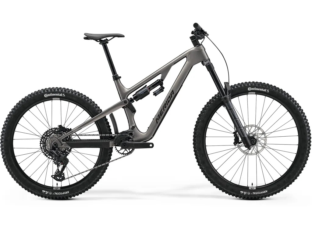 MERIDA ONE-SIXTY 6000 Warm Slate Grey(Golden Black) MID