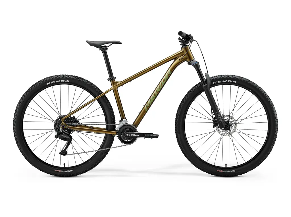 MERIDA BIG.NINE 60 Silk Pineapple Gold(Green)