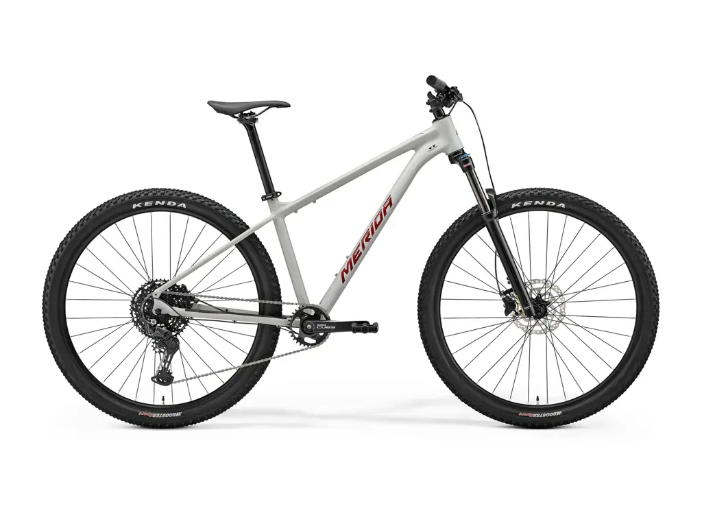 MERIDA BIG.NINE 200 Matt Grey(Glitter Cherry)