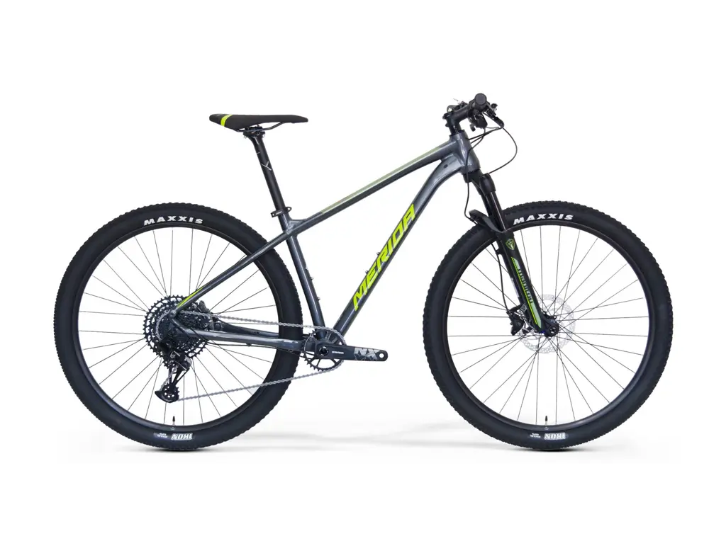 MERIDA BIG.NINE NX EDITION Dark Silver(Green/Silver)