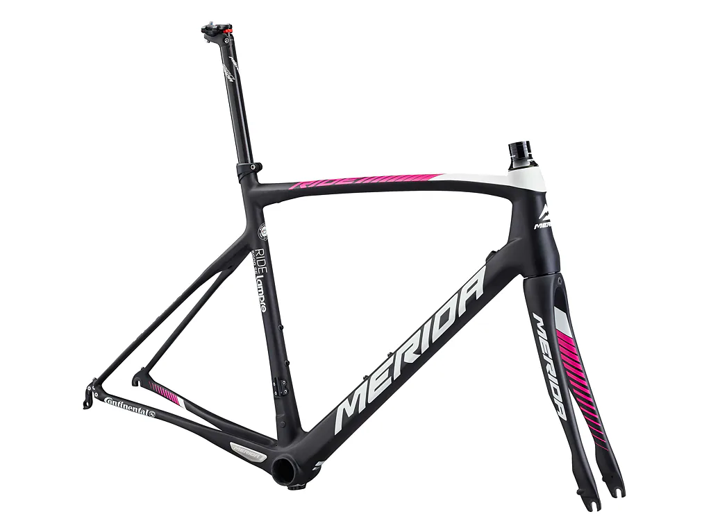 Rám  RIDE 5000SE  Silk UD (lampre t-replica)  M-L